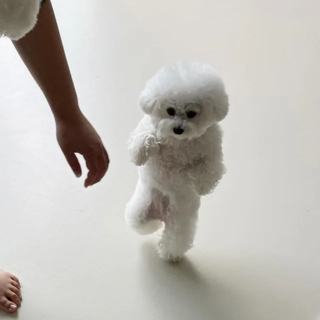콜럼버스