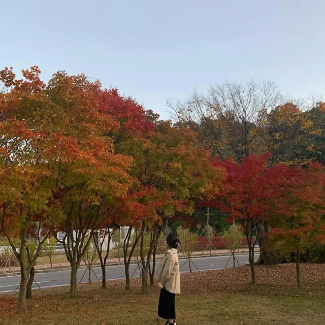 계란토스트