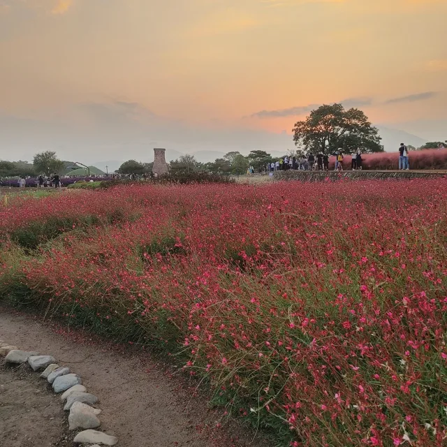 뽄요