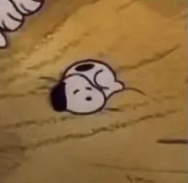 캐럿