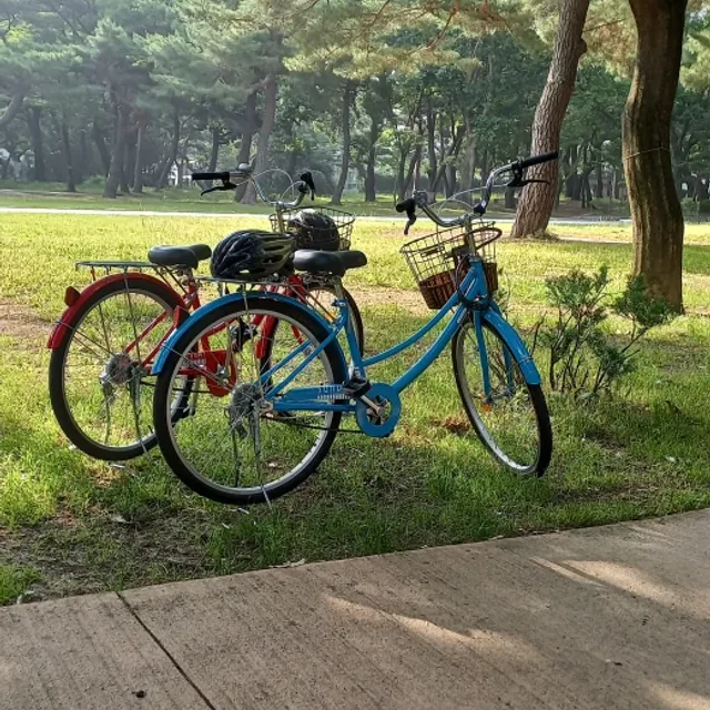 사랑님