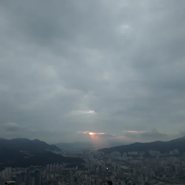대디당근