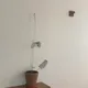 서광서광