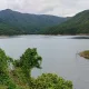 푸릇푸릇