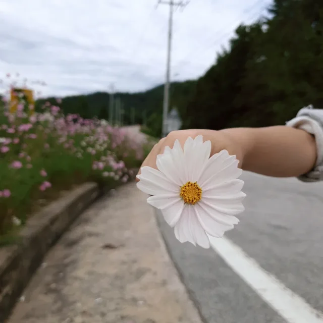 은은