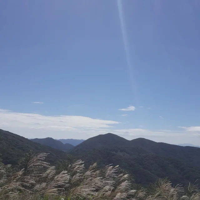 골골