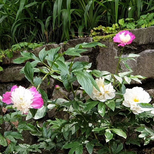 롸잇나우111