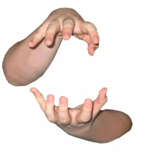 파까마까