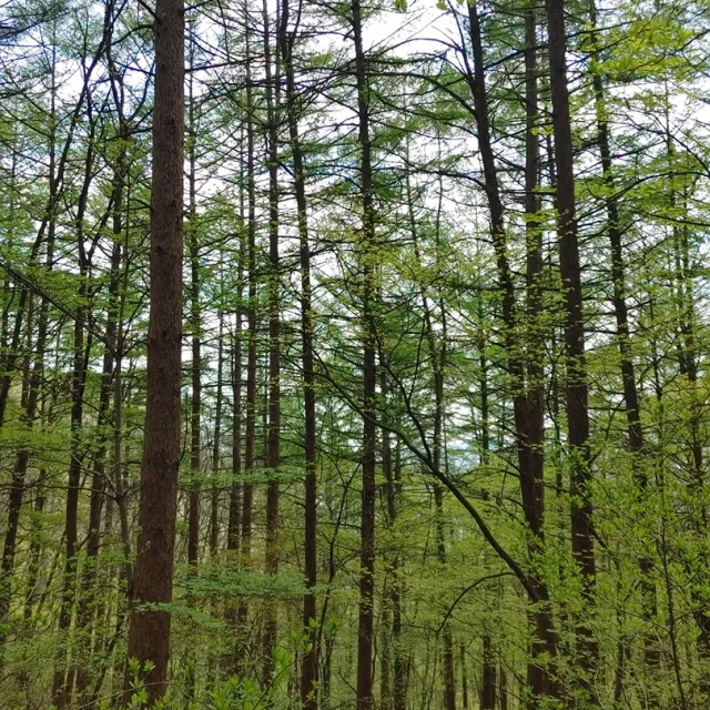 단순무식