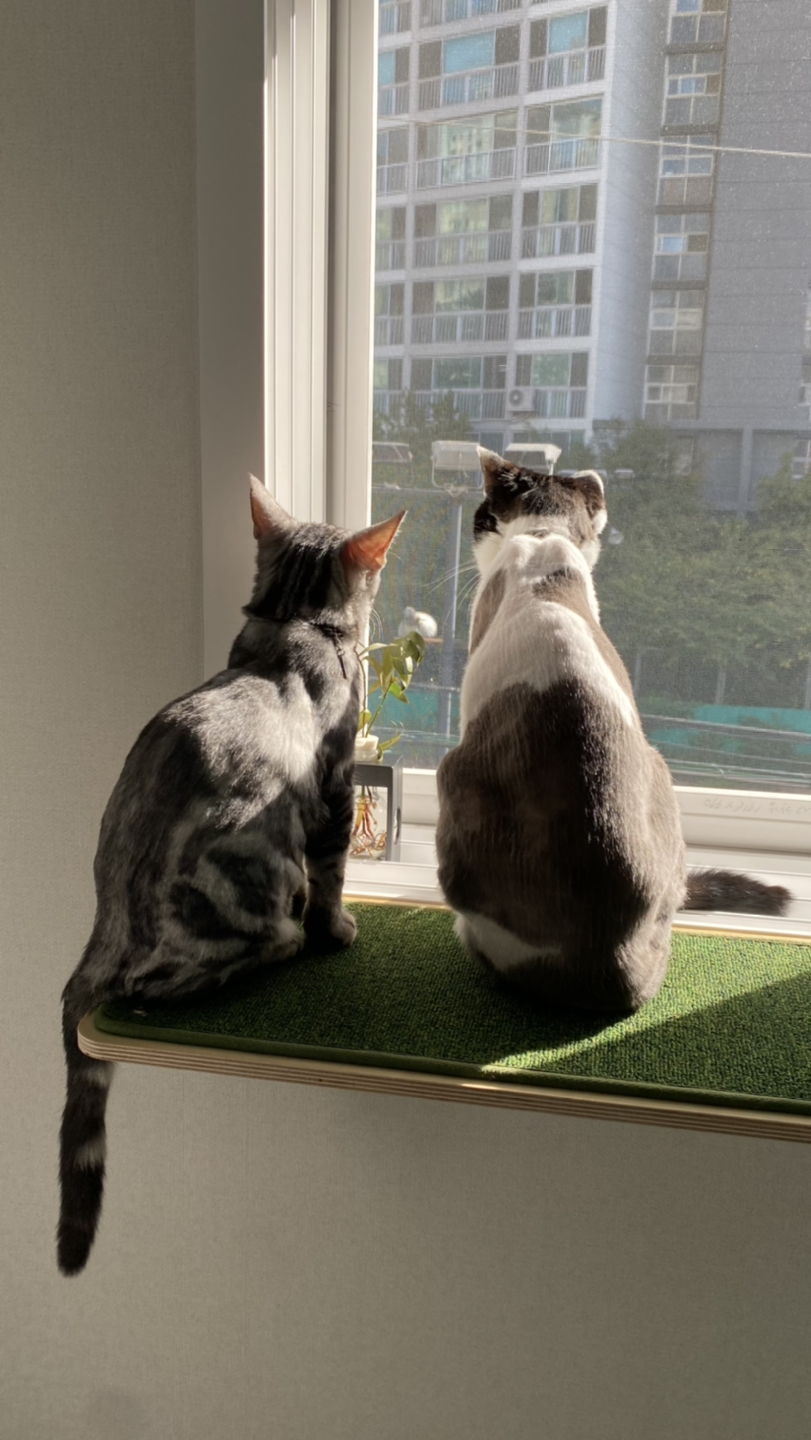 예지팡