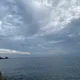 바다사자