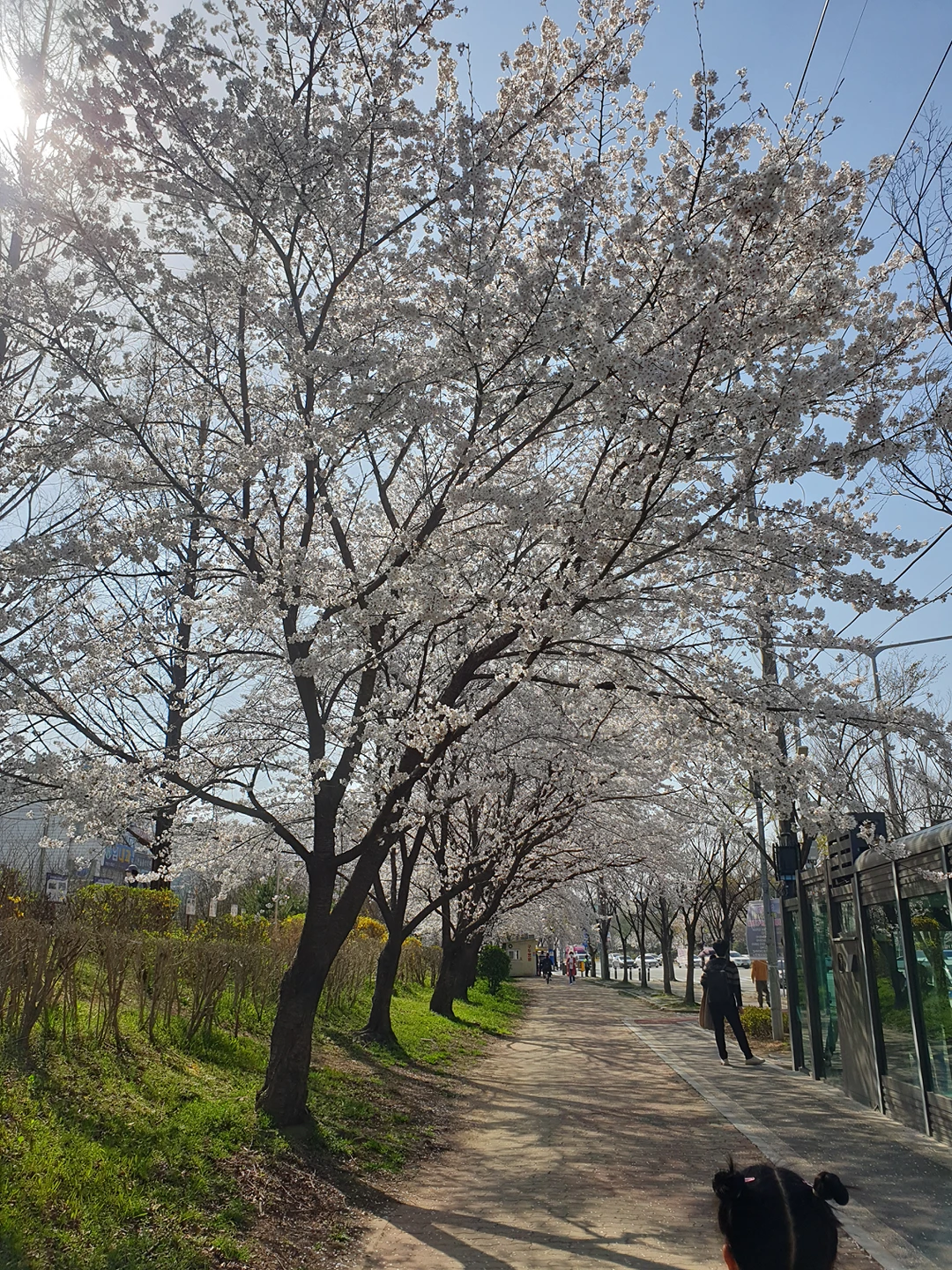 쑤기쑤기