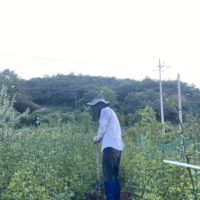 자연드림