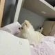 하늘당근