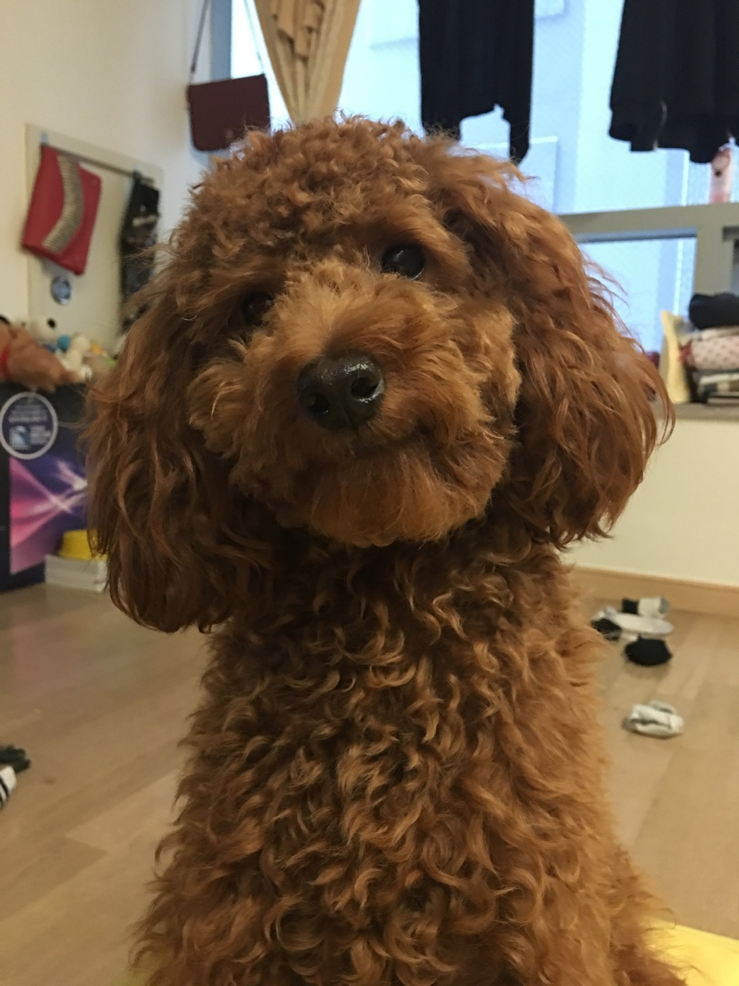 마요엄마