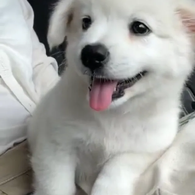 한동안거래쉬어요
