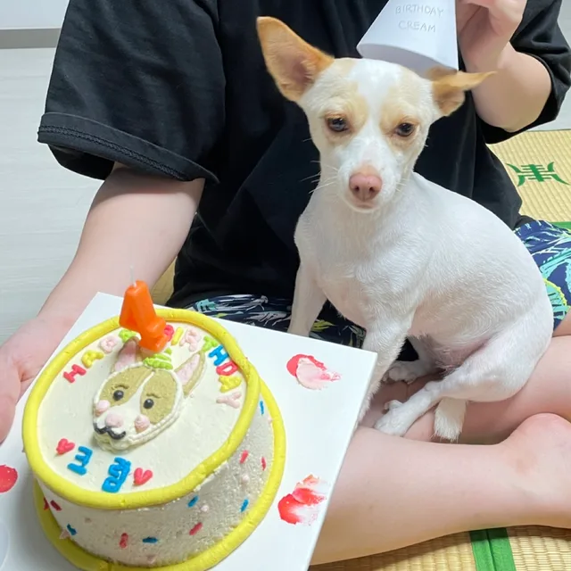 히짱이