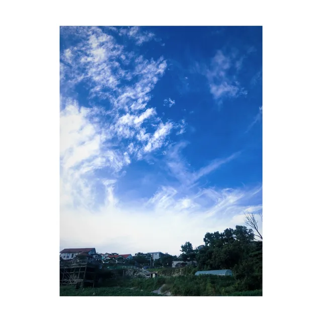 스프링