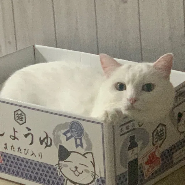 골라봐유