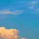 꼬장꼬장