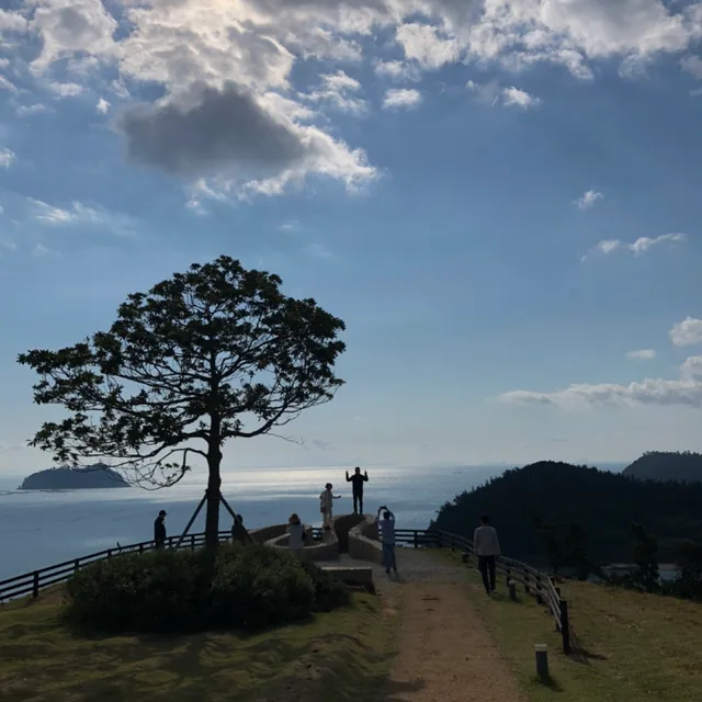 호이포이