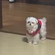 금산밀크