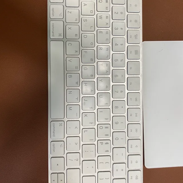 감자탕이야