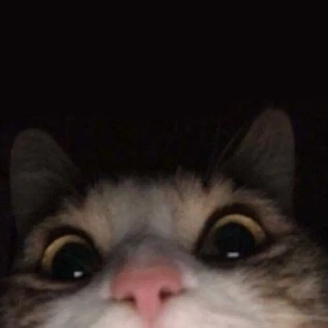 심바