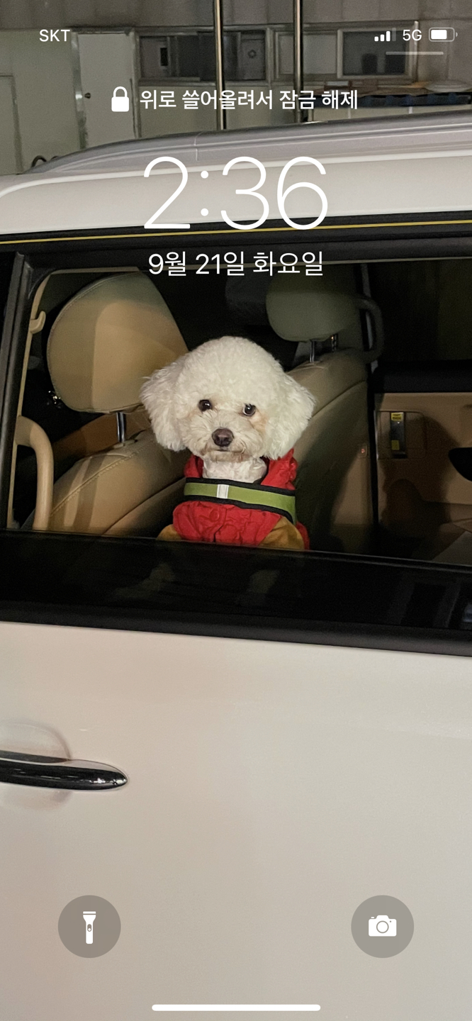 차녕
