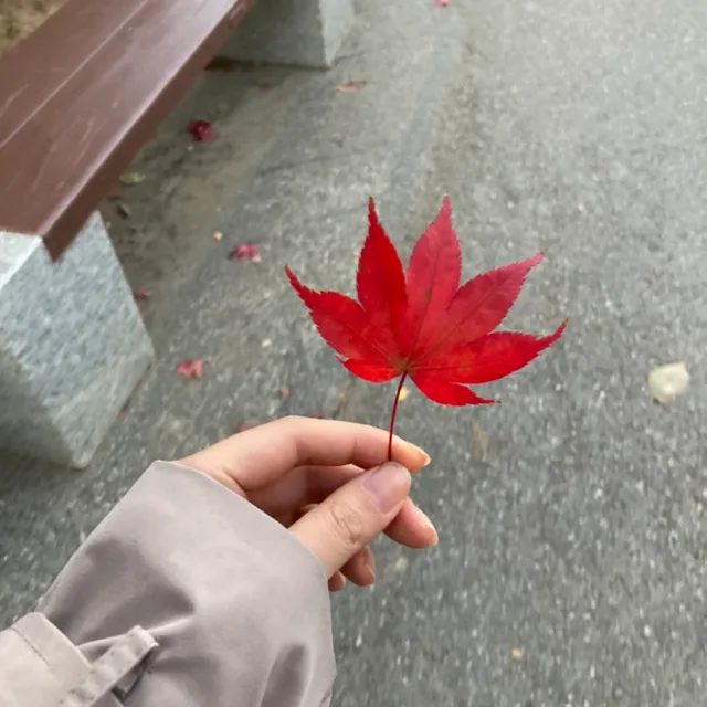 깜디