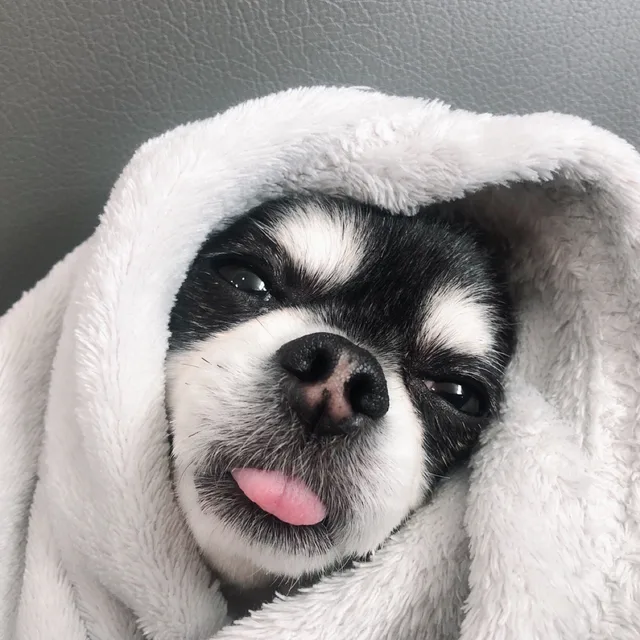 띵꾸