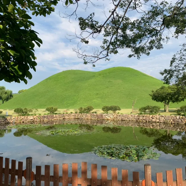 해롱이