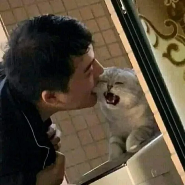 젠젠