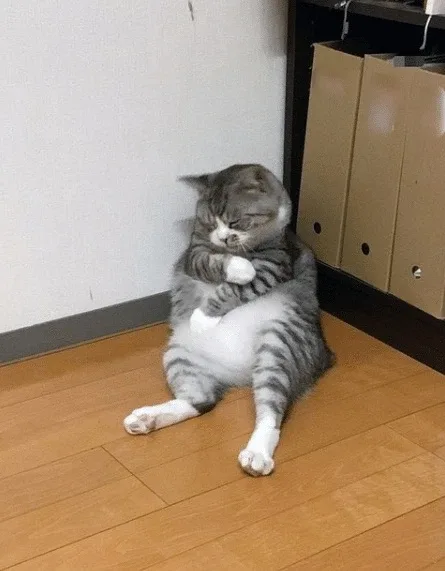 다시한번