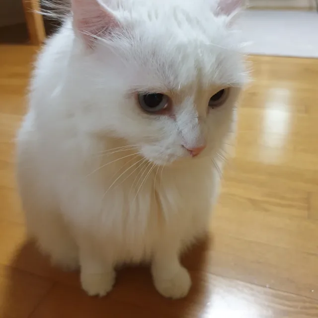토닥토닥