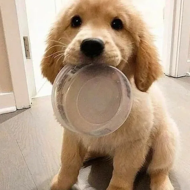 우히히
