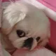 약속안지킴차단
