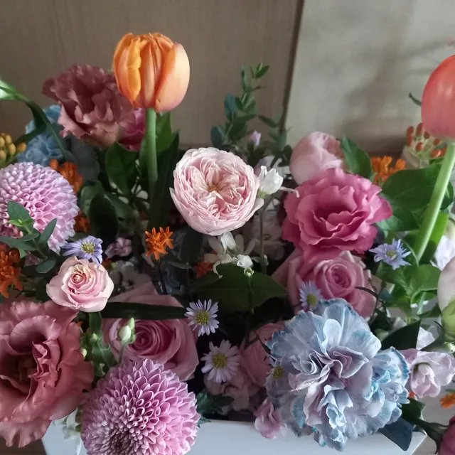 라벤더