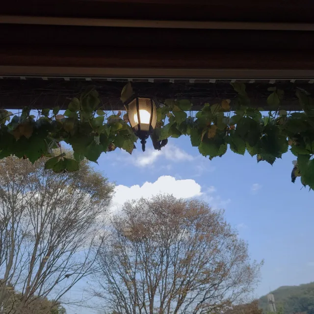 가을가을해