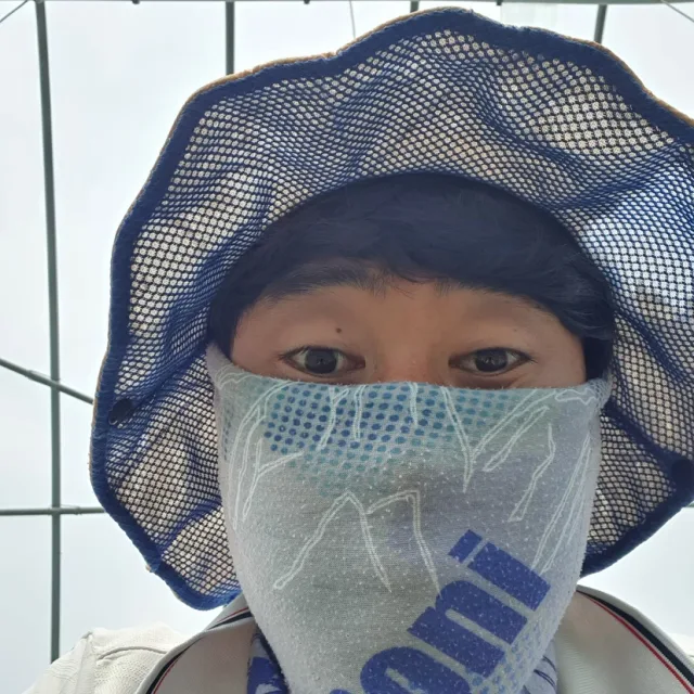 강화도불나방