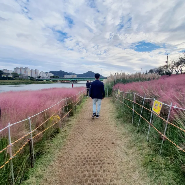 당근이네
