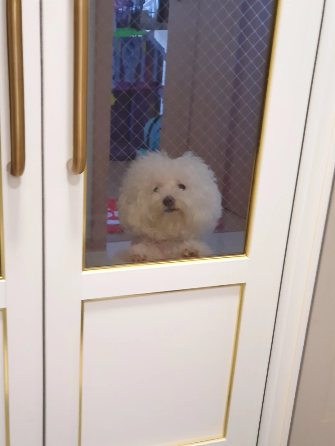 볼링