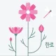 코스모스kim