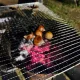 끼찌
