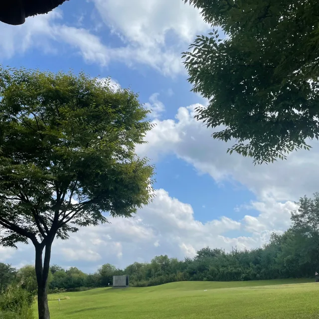 swift천사1004