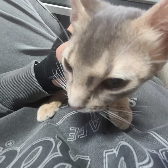 주스카