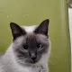 꽃모닝