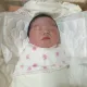 보리