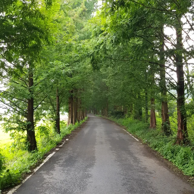 HOMEFLEX집수리