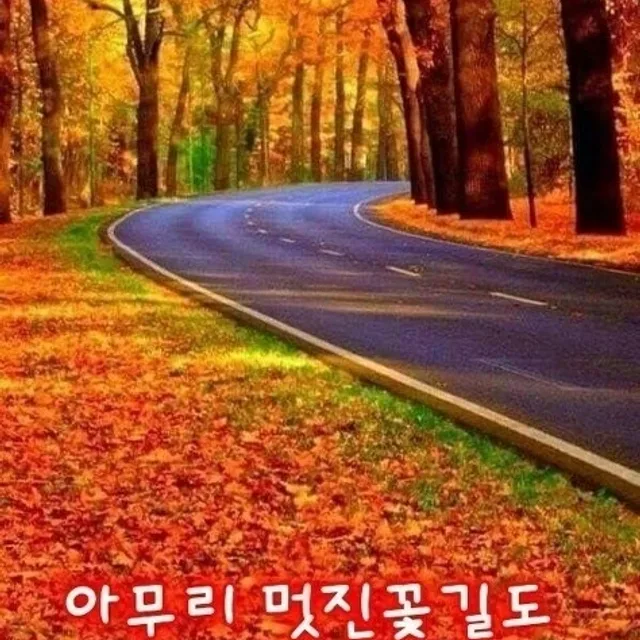 예삐